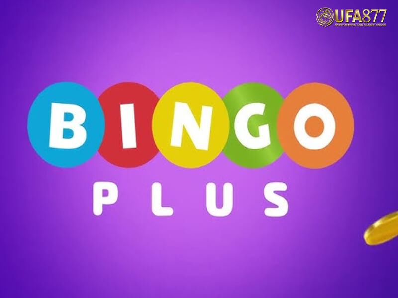 BingoPlus